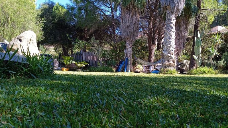 photo 27 Owner direct vacation rental Villasimius maison Sardinia Cagliari Province Garden