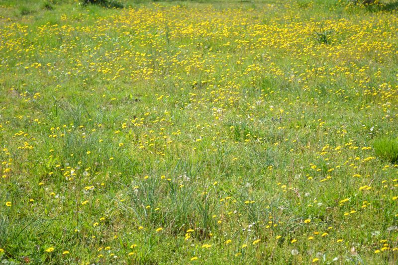 photo 14 Owner direct vacation rental Saint-Cirq-Lapopie gite Midi-Pyrnes Lot View from the property