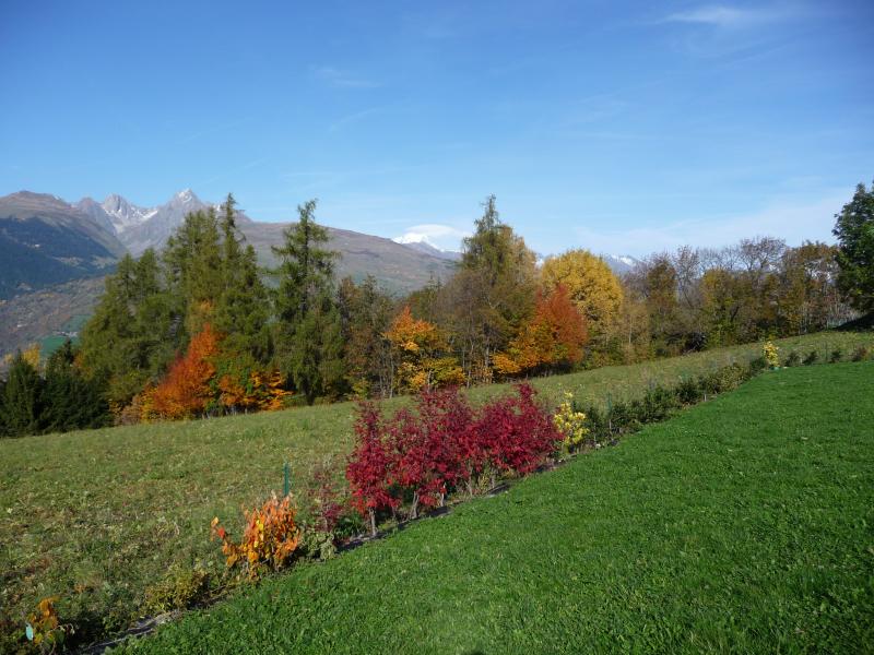 photo 4 Owner direct vacation rental La Plagne gite Rhone-Alps Savoie View of the property from outside