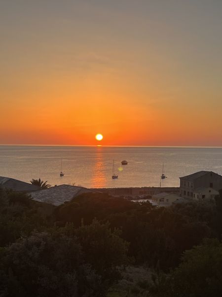 photo 20 Owner direct vacation rental Centuri appartement Corsica Corsica View from the terrace