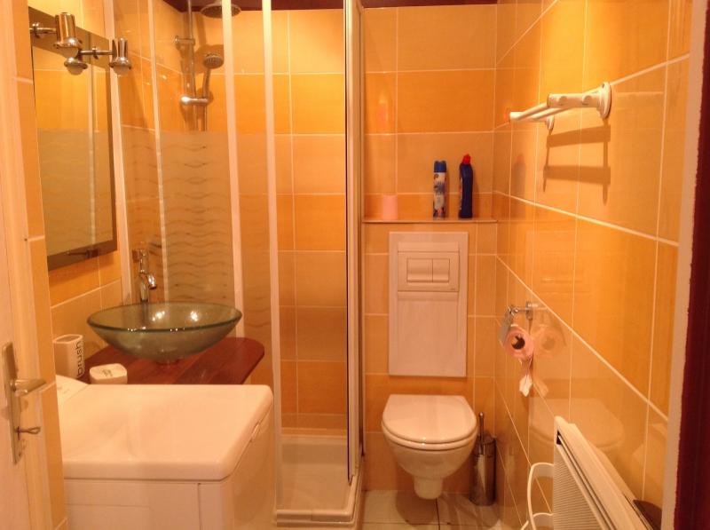 photo 6 Owner direct vacation rental Dinard appartement Brittany Ille et Vilaine Half bath