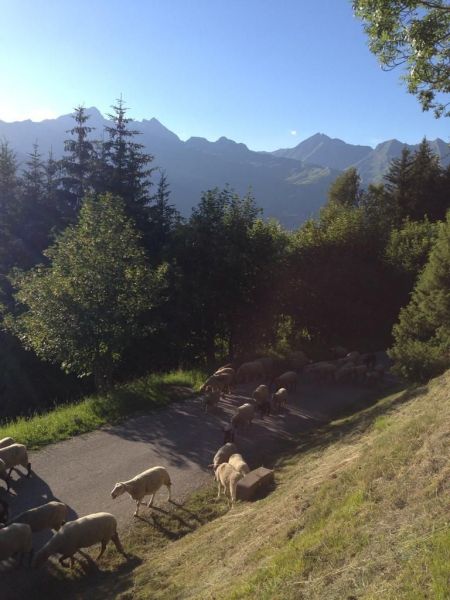 photo 24 Owner direct vacation rental Les Arcs chalet Rhone-Alps Savoie View from the terrace