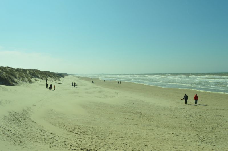 photo 21 Owner direct vacation rental Bray-Dunes appartement Nord-Pas de Calais Nord Beach