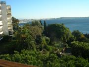 French Mediterranean Coast last-minute deals vacation rentals apartments: appartement # 24962