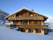 French Alps vacation rentals for 15 people: chalet # 2571