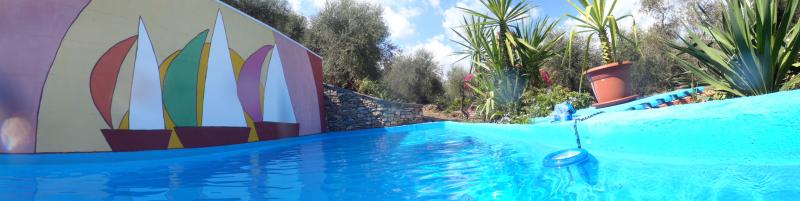 photo 6 Owner direct vacation rental Dolcedo appartement Liguria Imperia Province Swimming pool
