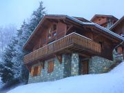 mountain and ski rentals: chalet # 27113