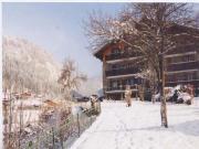 Mont-Blanc Mountain Range vacation rentals for 8 people: appartement # 27838