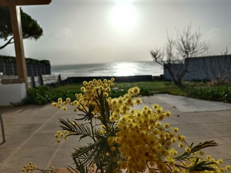 photo 19 Owner direct vacation rental La Gurinire maison Pays de la Loire Vende View from the terrace