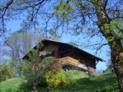 Haute-Savoie vacation rentals for 4 people: appartement # 28936