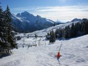 ski in/ski out vacation rentals: appartement # 29716