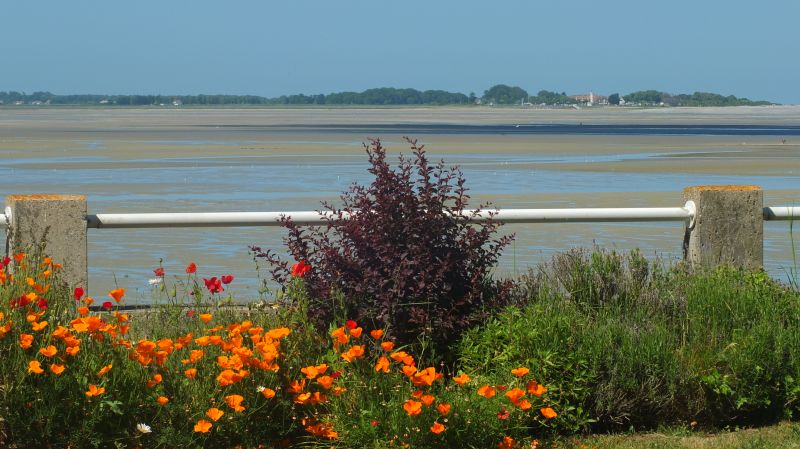 photo 7 Owner direct vacation rental Le Crotoy appartement Picardy Somme View from the terrace