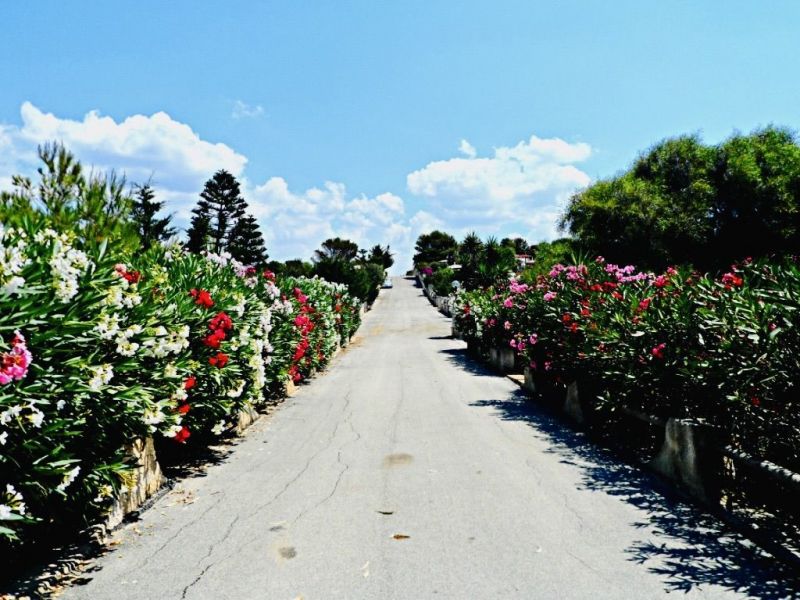 photo 27 Owner direct vacation rental Sciacca bungalow Sicily Agrigento Province Other view