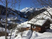 Savoie vacation rentals houses: chalet # 358