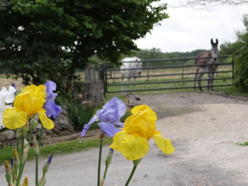 photo 15 Owner direct vacation rental Bergerac gite Aquitaine Dordogne View from the property