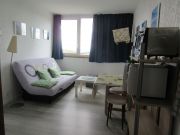 Massif Central vacation rentals apartments: appartement # 3795