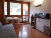 French Pyrenean Mountains vacation rentals for 4 people: studio # 39036
