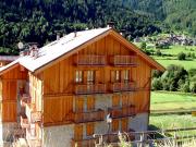 Italy mountain and ski rentals: appartement # 39767