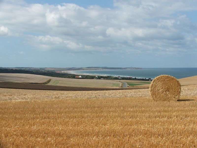 photo 21 Owner direct vacation rental Wissant gite Nord-Pas de Calais Pas de Calais Other view