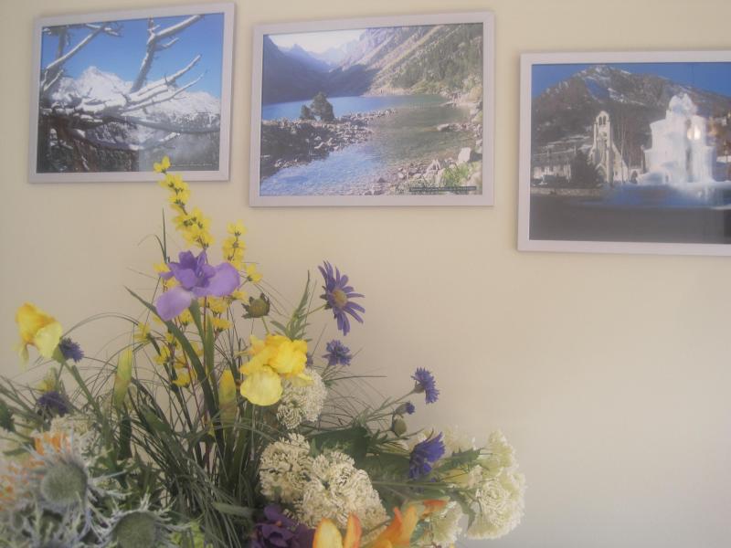 photo 5 Owner direct vacation rental Saint Lary Soulan appartement Midi-Pyrnes Hautes-Pyrnes Lounge
