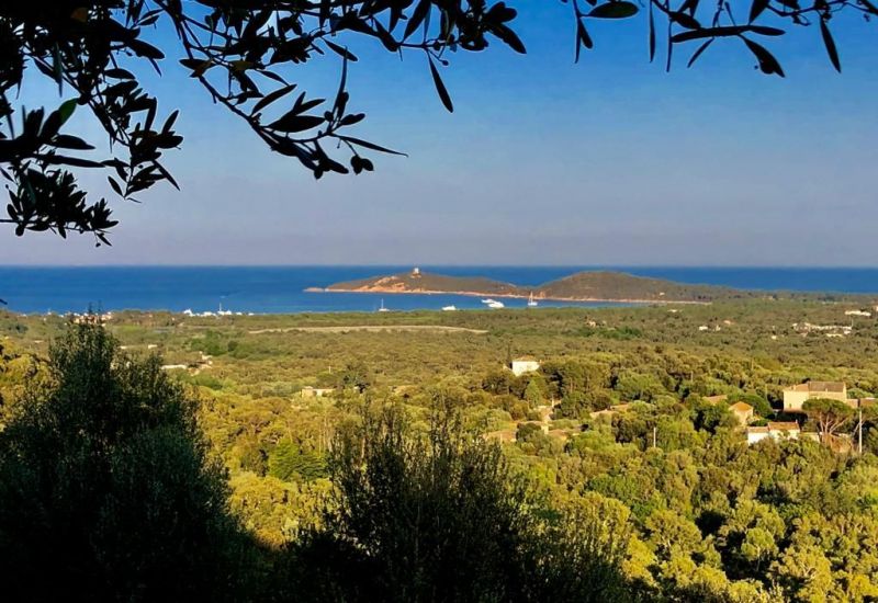 photo 5 Owner direct vacation rental Ste Lucie de Porto Vecchio maison Corsica Corse du Sud View from the terrace