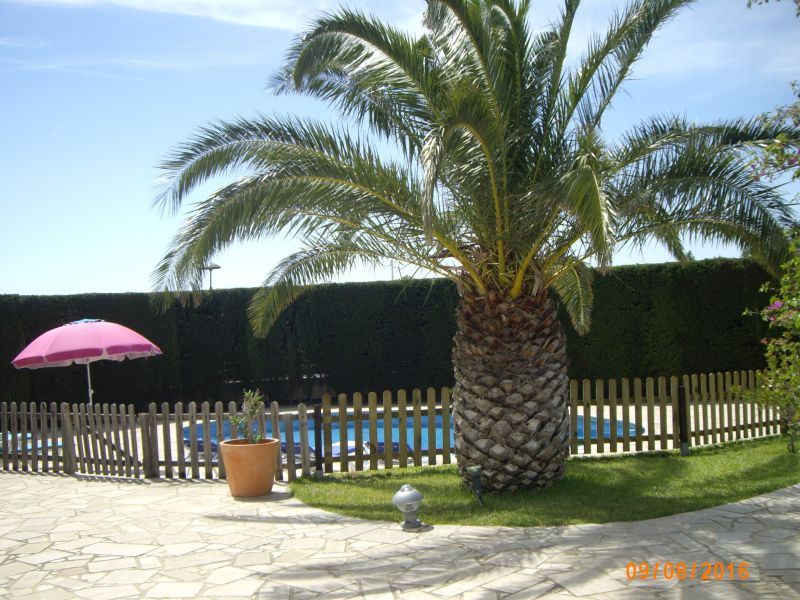 photo 5 Owner direct vacation rental L'Ametlla de Mar villa Catalonia Tarragona (province of) Garden