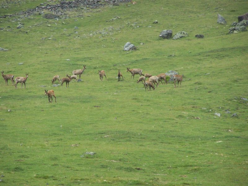 photo 19 Owner direct vacation rental Saint Lary Soulan appartement Midi-Pyrnes Hautes-Pyrnes Other view