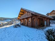 Grardmer mountain and ski rentals: chalet # 4579