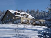 Vosges ski resort rentals: appartement # 4628