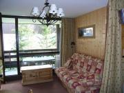 Peisey-Vallandry vacation rentals for 4 people: appartement # 4750