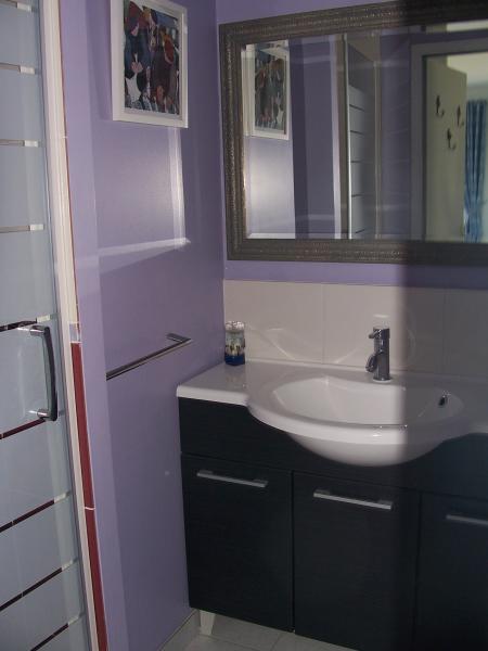 photo 16 Owner direct vacation rental Carnac maison Brittany Morbihan Half bath