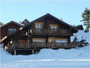 mountain and ski rentals: chalet # 49568