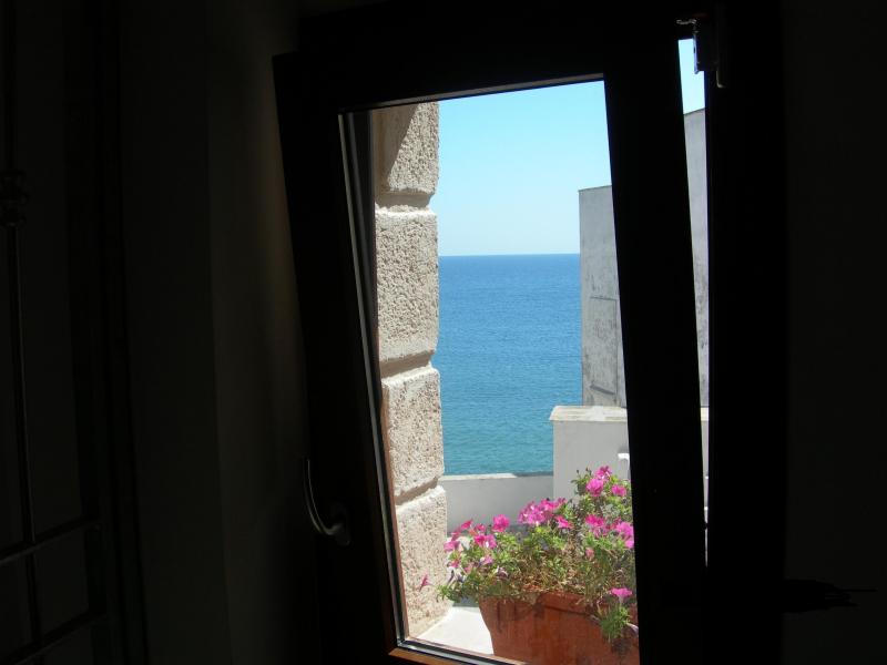 photo 15 Owner direct vacation rental Monopoli appartement Puglia Bari Province Other view