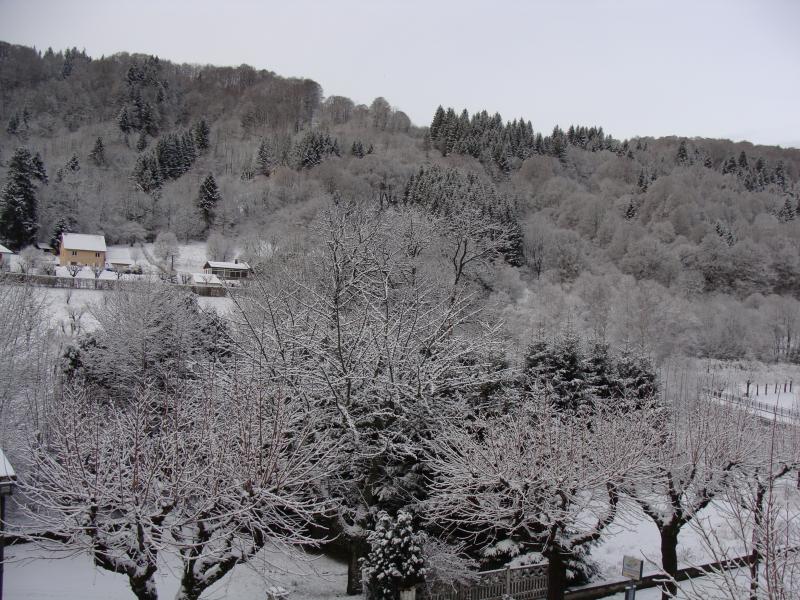 photo 17 Owner direct vacation rental Le Mont Dore appartement Auvergne Puy-de-Dme View from the property