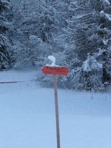 photo 14 Owner direct vacation rental Chtel appartement Rhone-Alps Haute-Savoie View from the balcony