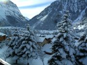 La Tania vacation rentals apartments: appartement # 52387