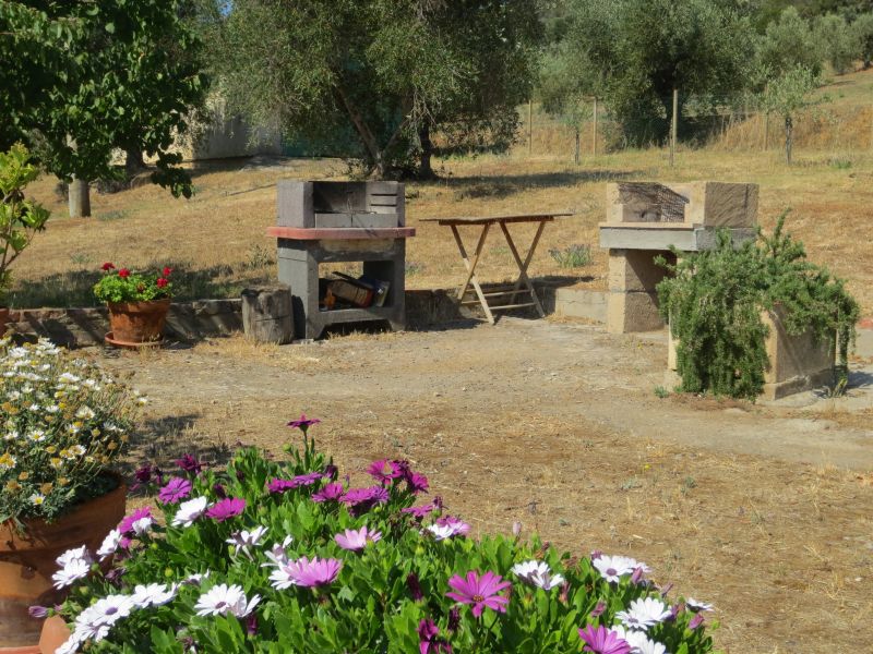 photo 10 Owner direct vacation rental Castiglione della Pescaia maison Tuscany Grosseto Province Summer kitchen