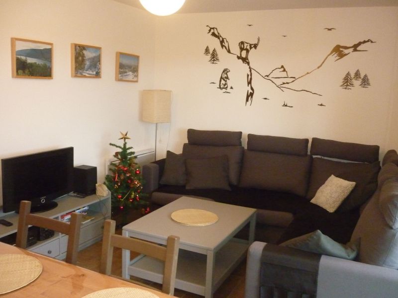 photo 4 Owner direct vacation rental Grardmer appartement Lorraine Vosges Lounge