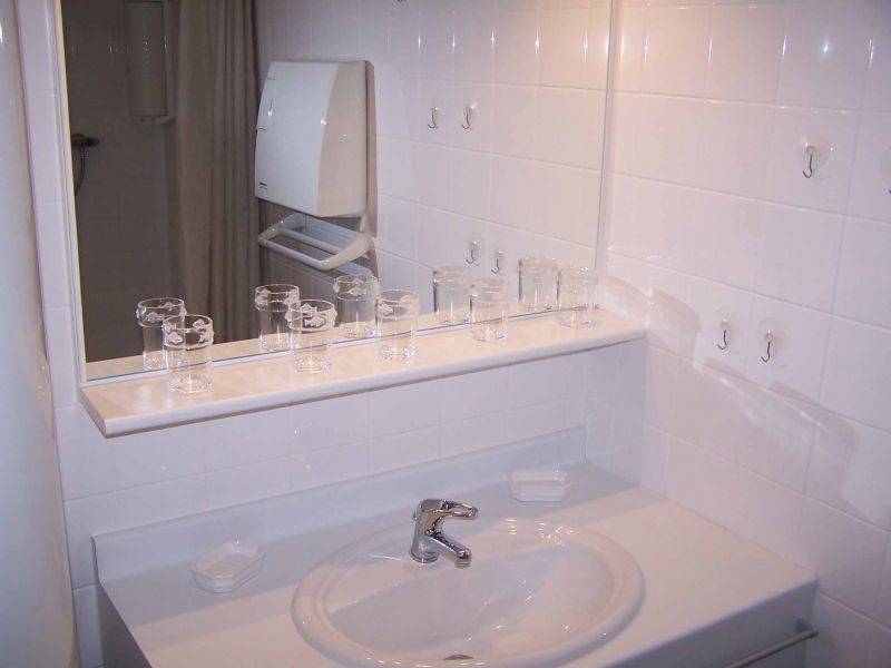 photo 10 Owner direct vacation rental Grardmer appartement Lorraine Vosges bathroom