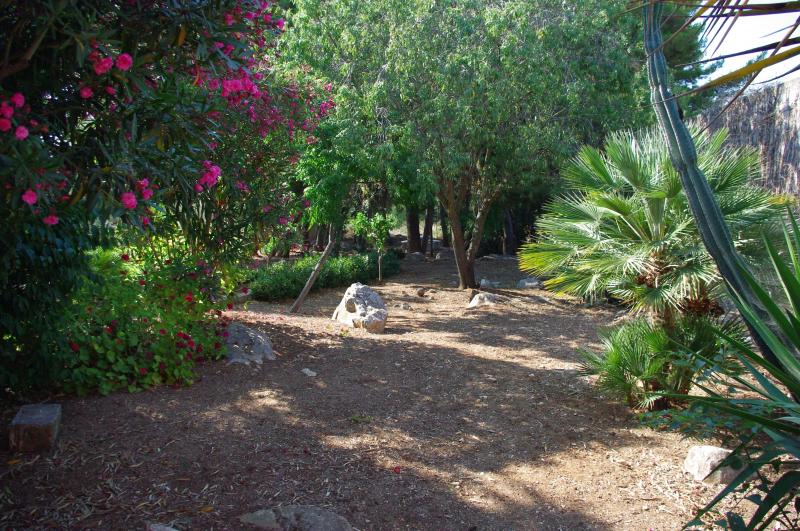 photo 17 Owner direct vacation rental Custonaci maison Sicily Trapani Province Garden