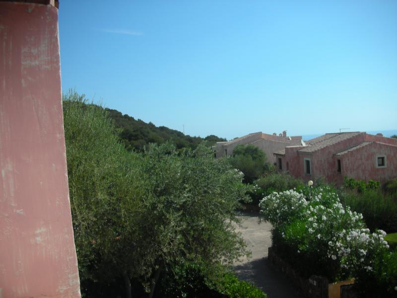 photo 17 Owner direct vacation rental Budoni appartement Sardinia Olbia Tempio Province Garden