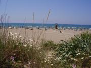 Grosseto beach and seaside rentals: appartement # 53318