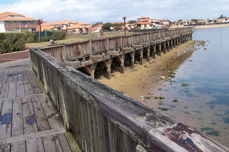 photo 18 Owner direct vacation rental Vieux Boucau appartement Aquitaine Landes Surroundings