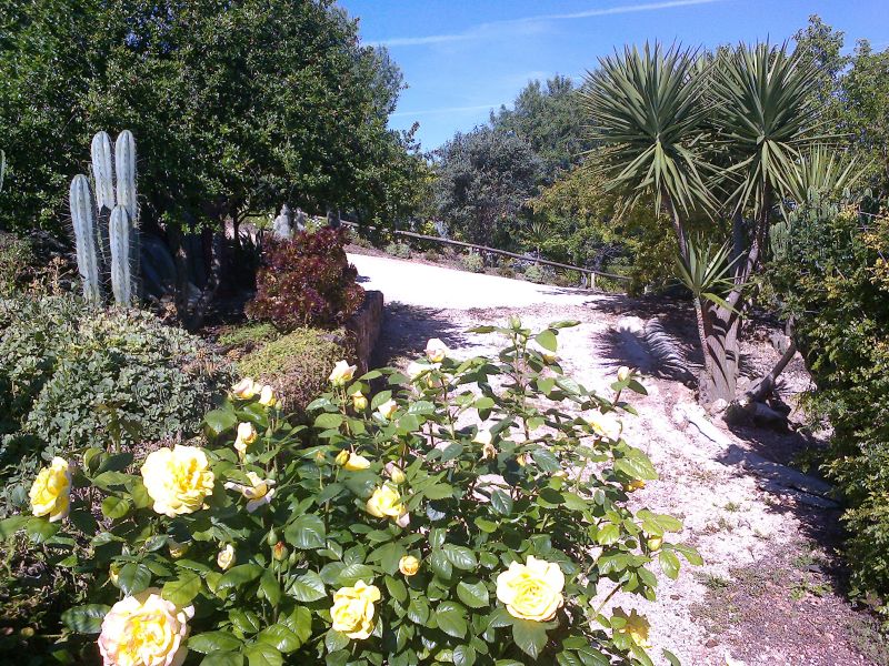 photo 10 Owner direct vacation rental Loul maison Algarve  Garden