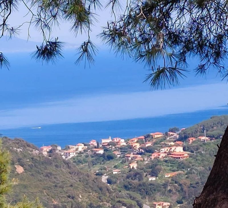 photo 9 Owner direct vacation rental Rio nell'Elba appartement Tuscany Elba Island