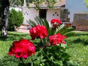 Sicily vacation rentals: studio # 56253