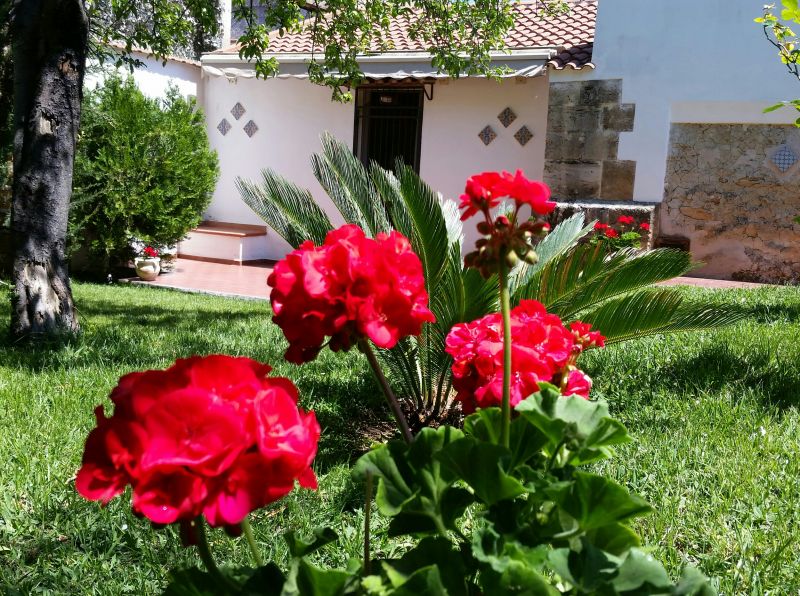 photo 0 Owner direct vacation rental Palermo studio Sicily Palermo Province View of the property from outside