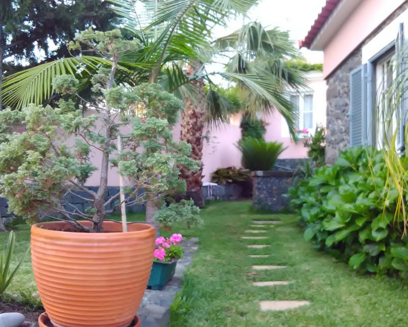 photo 22 Owner direct vacation rental Funchal bungalow Madeira  Garden