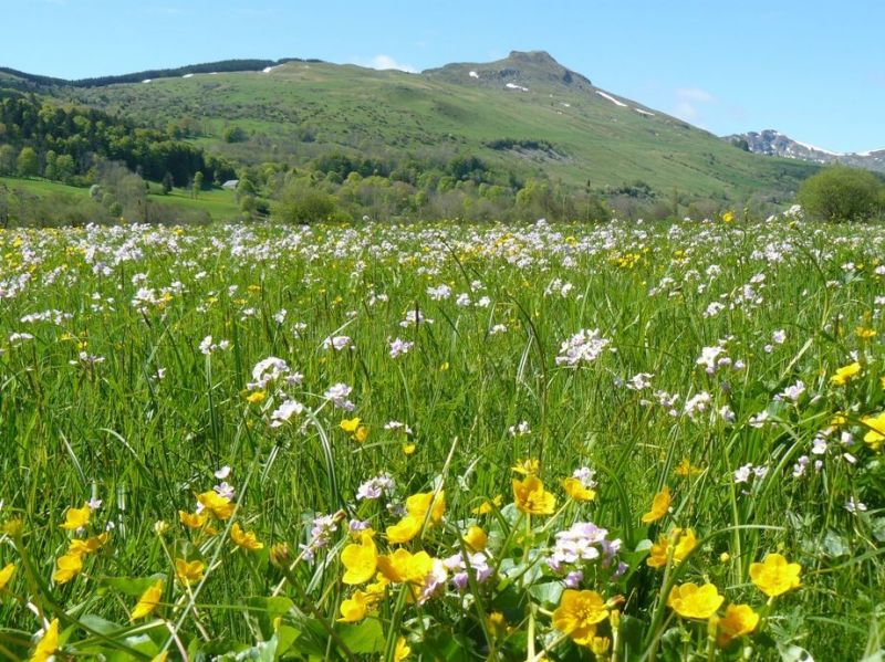 photo 26 Owner direct vacation rental Le Lioran gite Auvergne Cantal Surroundings