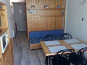 Piau Engaly vacation rentals apartments: appartement # 58482